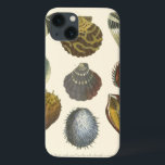 Conchology Collection iPhone 13 Case<br><div class="desc">If you can't get to the beach today, get this classic style image of this unique image of sea life by Albertus Seba! Imagine yourself on a beach discovering Sea anemones that nature has to offer. These seashells and sea plants by the ocean is surrounded by warm sand in this...</div>