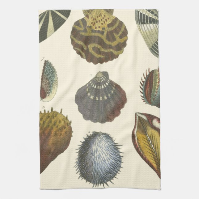 Conchology Collection Kitchen Towel (Vertical)