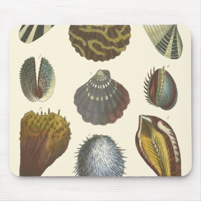 Conchology Collection Mouse Pad (Front)