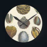 Conchology Collection Round Clock<br><div class="desc">If you can't get to the beach today, get this classic style image of this unique image of sea life by Albertus Seba! Imagine yourself on a beach discovering Sea anemones that nature has to offer. These seashells and sea plants by the ocean is surrounded by warm sand in this...</div>