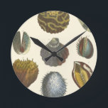 Conchology Collection Round Clock<br><div class="desc">If you can't get to the beach today, get this classic style image of this unique image of sea life by Albertus Seba! Imagine yourself on a beach discovering Sea anemones that nature has to offer. These seashells and sea plants by the ocean is surrounded by warm sand in this...</div>