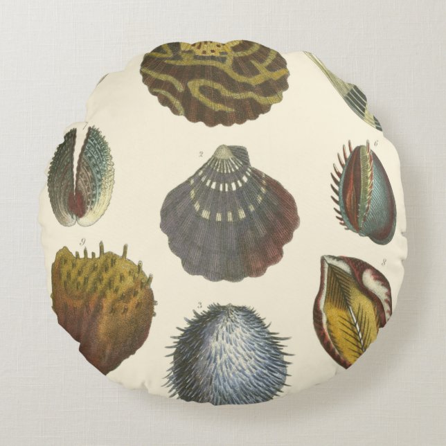 Conchology Collection Round Pillow (Front)