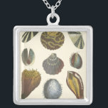 Conchology Collection Silver Plated Necklace<br><div class="desc">If you can't get to the beach today, get this classic style image of this unique image of sea life by Albertus Seba! Imagine yourself on a beach discovering Sea anemones that nature has to offer. These seashells and sea plants by the ocean is surrounded by warm sand in this...</div>