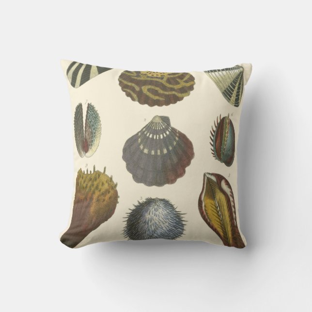 Conchology Collection Throw Pillow (Front)