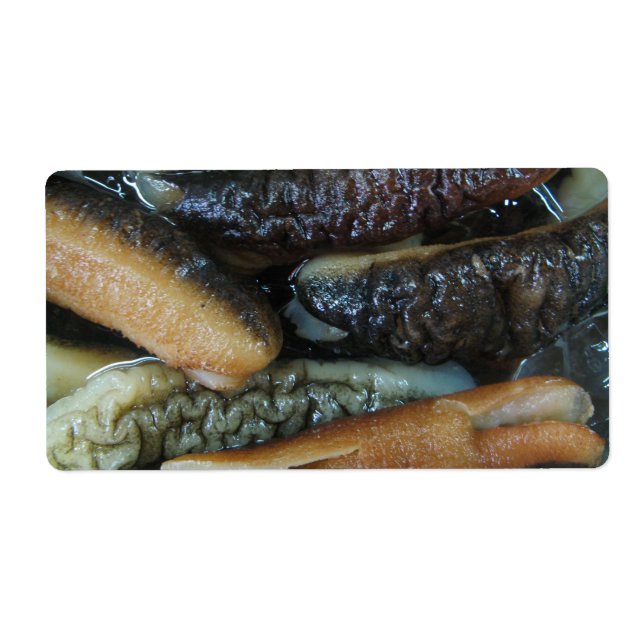 Concombre de mer ... Nourriture du marché du Yaowa (Devant)