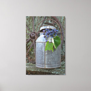 Concord grapes in antique can canvas print