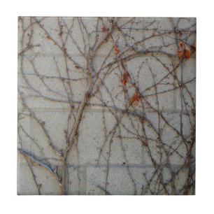 Concrete Block Wall With Vines Tile