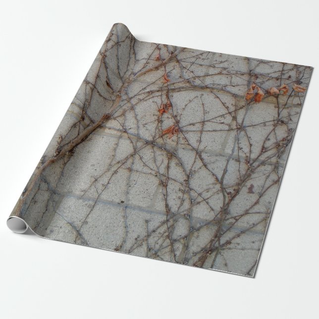 Concrete Block Wall With Vines Wrapping Paper (Unrolled)