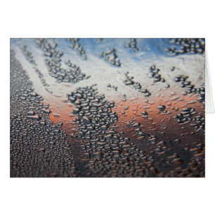 Condensed water drops