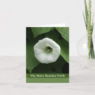 Condolence Sympathy Card With White Flower