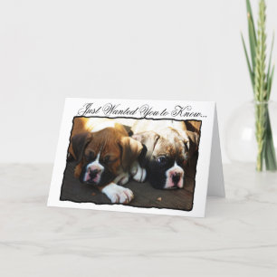 Condolences Boxer puppies greeting card