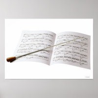 Conductor's Baton