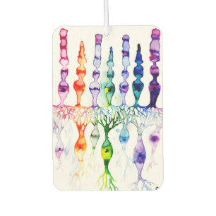 Cone cells rod cells and bipolar neuron of retina air freshener