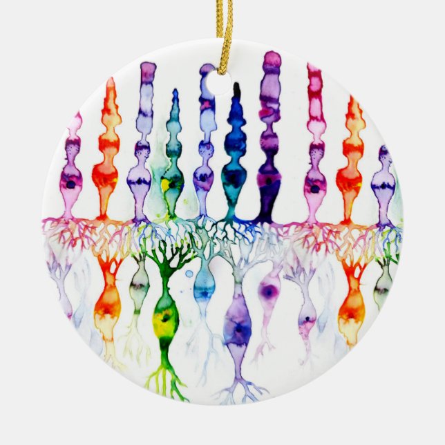 Cone cells rod cells and bipolar neurond of retina ceramic ornament (Front)