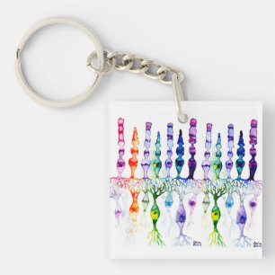 Cone cells rod cells and bipolar neurond of retina keychain