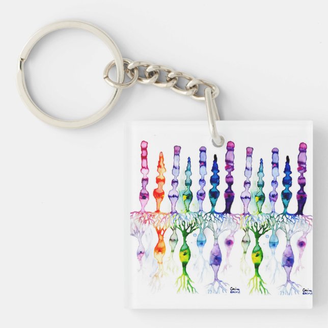 Cone cells rod cells and bipolar neurond of retina keychain (Front)
