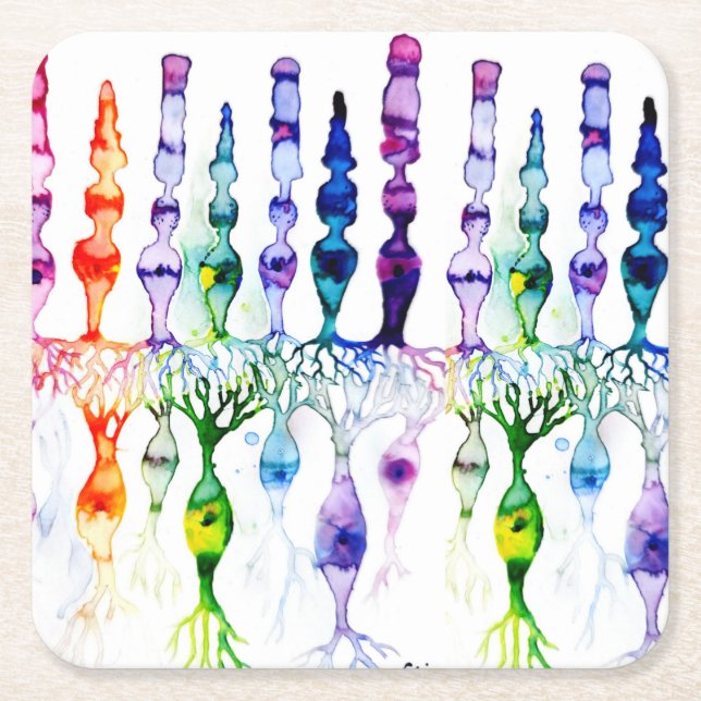 Cone cells rod cells and bipolar neurond of retina square paper coaster (Front)