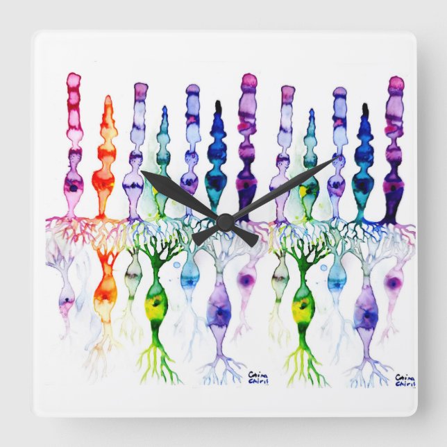 Cone cells rod cells and bipolar neurond of retina square wall clock (Front)