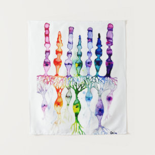 Cone cells rod cells and bipolar neurond of retina tapestry