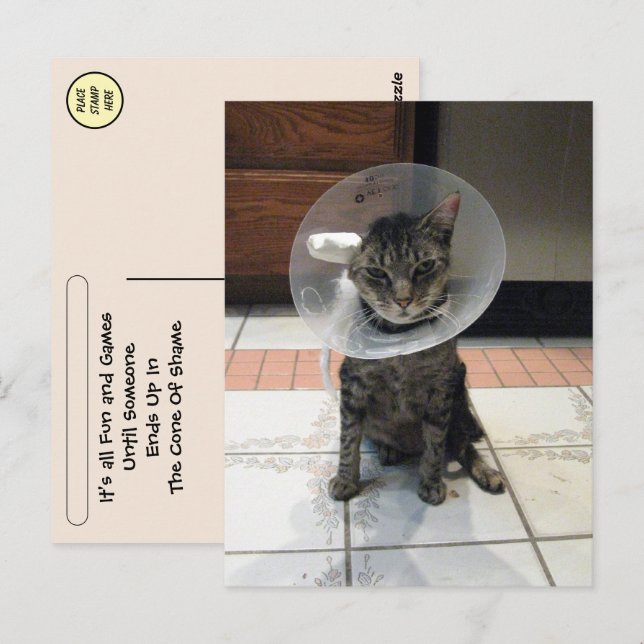 Cône de la honte de Postcrossing - Carte postale d (Devant / Derrière)