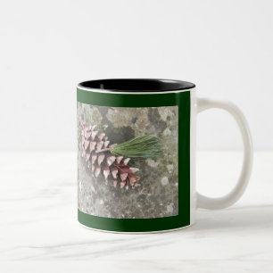 Cône de pin et tasse de gland