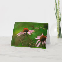 Cone Flower 1 "Thank You"
