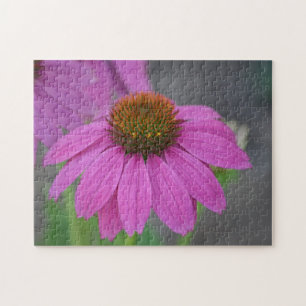 Cone Flower Puzzle