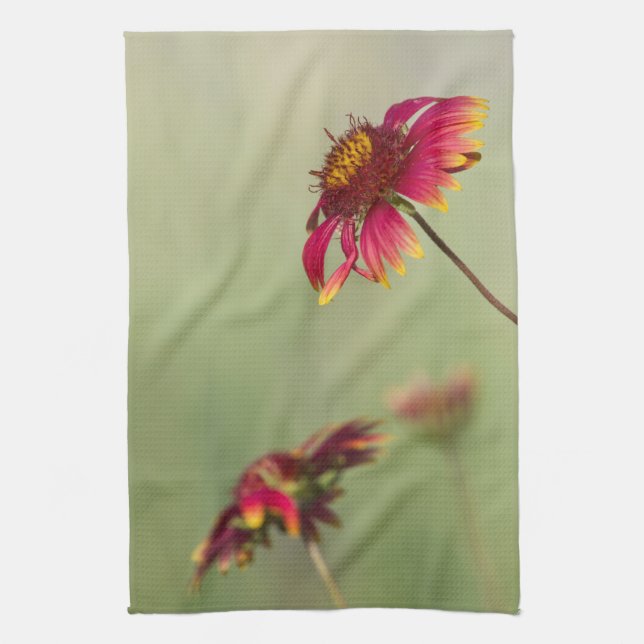 Cone Flowers beginning to bloom Kitchen Towel (Vertical)