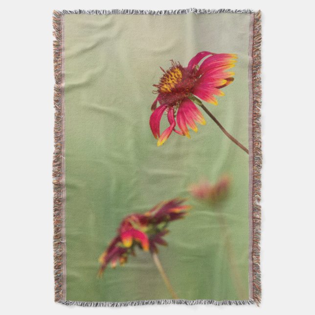 Cone Flowers beginning to bloom Throw Blanket (Front Vertical)