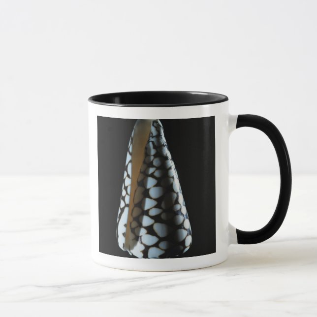 Cone shell 2 mug (Right)