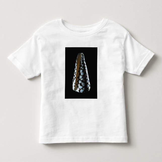 Cone shell 2 toddler t-shirt (Front)