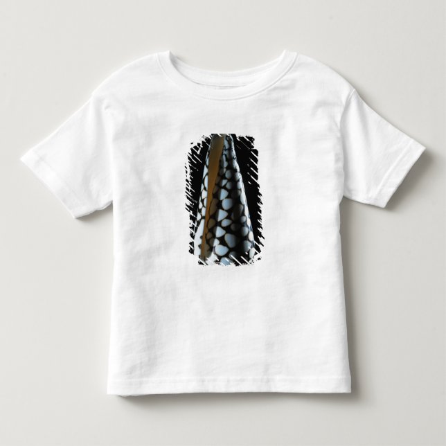 Cone shell 2 toddler t-shirt (Front)