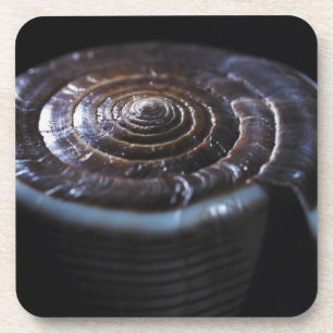 Cone shell coaster