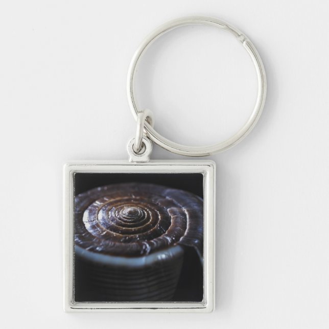 Cone shell keychain (Front)