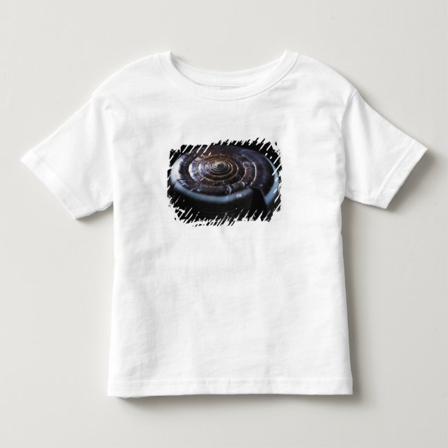 Cone shell toddler t-shirt (Front)