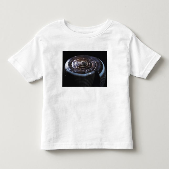 Cone shell toddler t-shirt (Front)