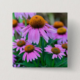 Coneflower 2 Inch Square Button