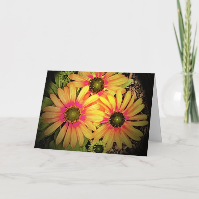 Coneflower, card (Front)