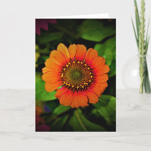Coneflower, card