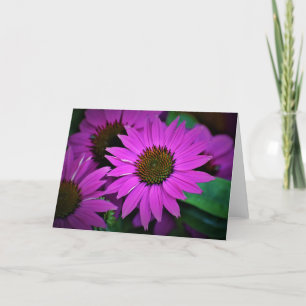 Coneflower, card