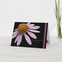 Coneflower Debut Congratulations Items