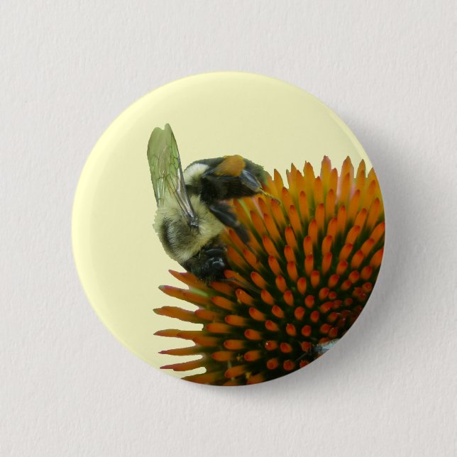 Coneflower & Eastern Carpenter Bee Items 2 Inch Round Button (Front)