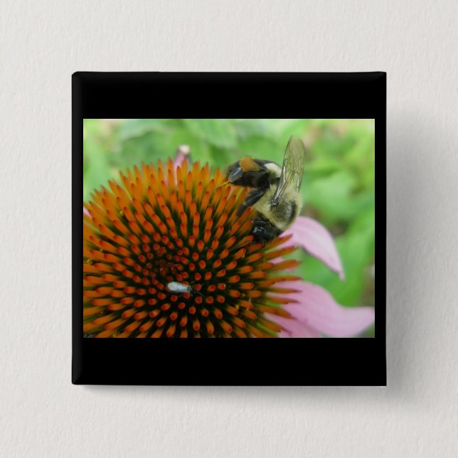 Coneflower & Eastern Carpenter Bee Items 2 Inch Square Button (Front)