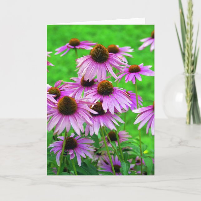 Coneflower Greeting Card (Front)
