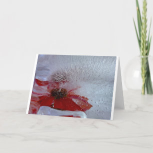 Coneflower in Ice, Card
