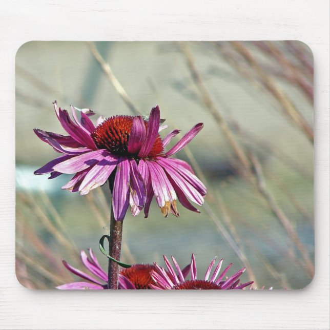 Coneflower Mouse Pad (Front)