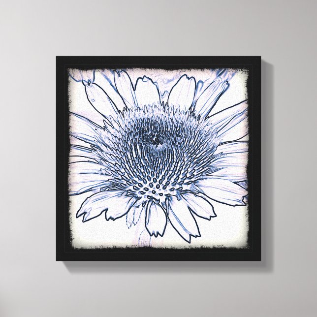 Coneflower Sketch Canvas Print (Front)