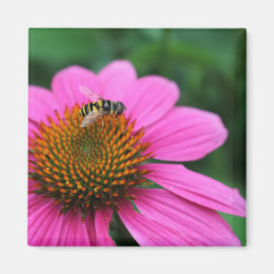 Coneflower with Bee magnet