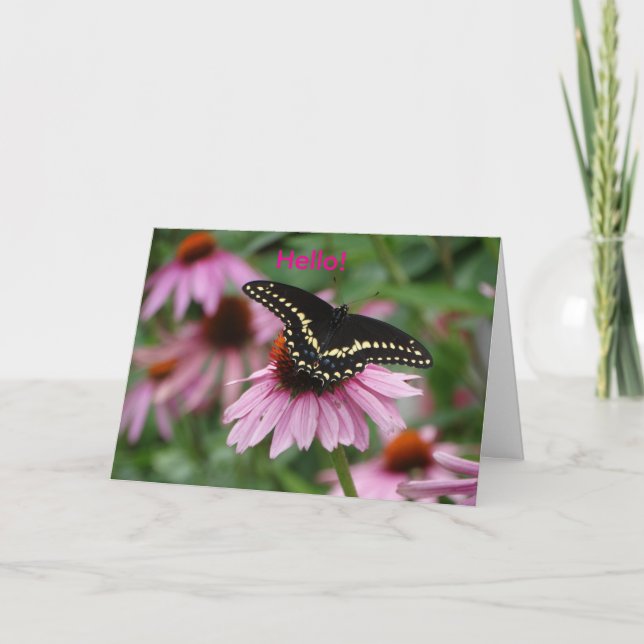 Coneflower With Black Swallowtail Butterfly. Card (Front)
