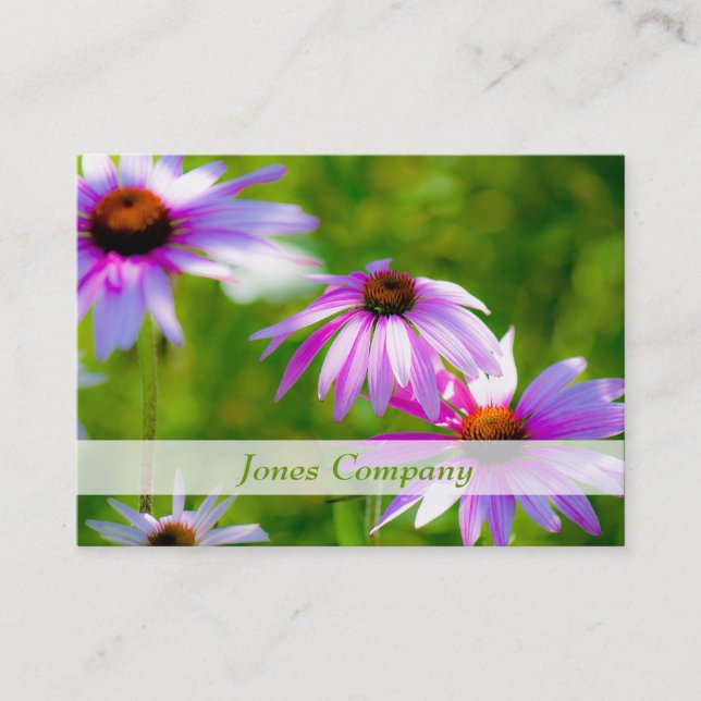 Coneflowers Beautiful Floral Business Card (Front)